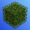 Simple Connected Leaves