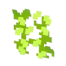 Bare Bones x Retextured Vine