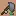 Warped Fungus to Elytra