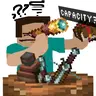 Hwich Capacity?