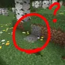 Where is Trail Ruins?!