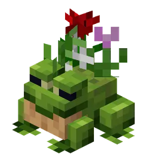 Flower Frogs