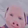 Pig god calling diamond