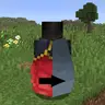 Elytra no Cape