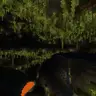 Big Lush Cave Panorama