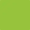 Lime Netherite
