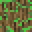 Mossy Oak