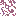 Purple Lichen
