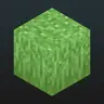Prabhat's Full Grass+