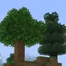 Standard Bushy Leaves