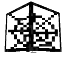 Black cobweb outline