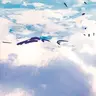 Skyward Dreams