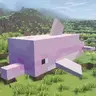 rare pink dolphin