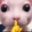 Totem Tshhh