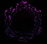 Space Remix