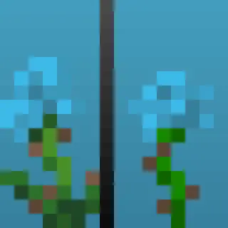Cyan Rose (Modern)