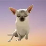 Low Cortisol Totem
