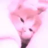 Pink Paradise
