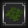 Bushy's Wild Expanded