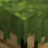 Fancy Carpets