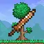 Terrarian Swords
