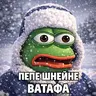 ShneinePack