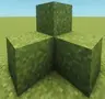 Fancy Grass!