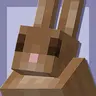Jam's Rabbit Eyes