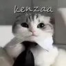 kenzaa's pvp overlay