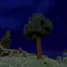 Animated Programmer Art Foliage