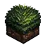 dark grass