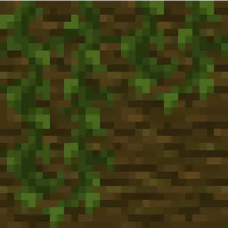 Connected Vines