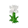 Dandelion Growth Stages