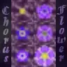 Chorus Flowers (multistage flowering)