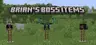 Brian's Boss items resorcepack