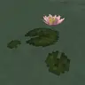 Realistic Lily Pads