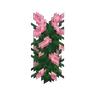 Pink Peonies
