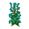Cyan Rose Bush