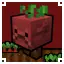 Beetroot Strider