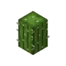 Thinner Cactus