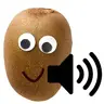 Ginosound