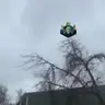 Chicken In Tree Sculk Shrieker