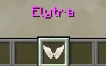Elytra Wings