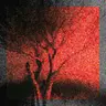 PissInTheWind 16x