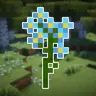 Forget-me-not Wildflowers