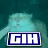 GihPack