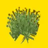 Nani's Bushed Bushes