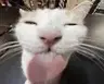 Catoon spear sounds