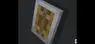Sideshieldgood