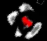 TBS textures+
